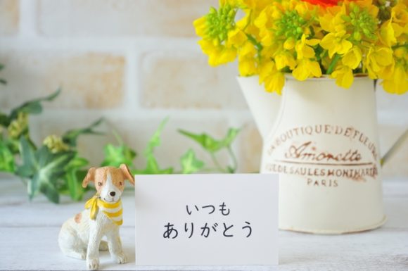 ありがとうございます。